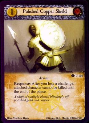 Polished Copper Shield